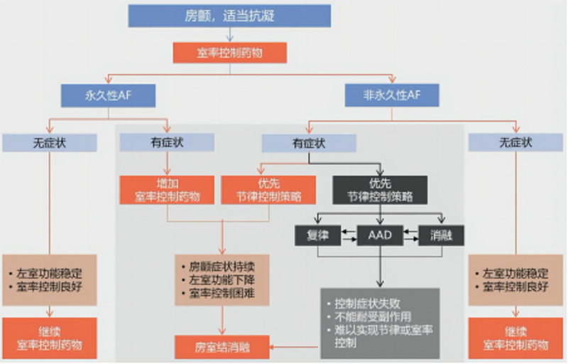 广州抗凝门诊:寻找安全高效的治疗之路